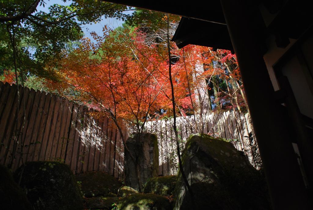 Akizuki Spa Ryokan Seiryuan Asakura  Exteriér fotografie